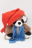 Мягкая игрушка Енот Крош, 20/26 см, с шариками для мелкой моторики в красном колпаке с кисточкой и голубом шарфе, 0755230-28-54