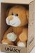 Мягкая игрушка в малой подарочной коробке Медвежонок Сильвестр золотой, 20/25 см,  с белой розой , 0913120-212K