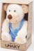 Мягкая игрушка в малой подарочной коробке Медведь Ахмед, малый, 20/27 см, с шариками для мелкой моторики, в голубом комбинезоне, 0993820-63K
